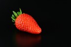 Fragola Fragola