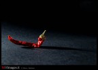the pepper the pepper