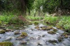 River River