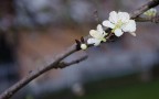 Macro Macro