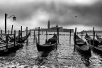 venezia venezia