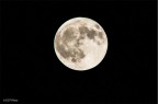 La Luna Piena La Luna Piena