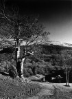 Lago Calamone Lago Calamone