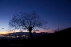 natura al buio natura al buio