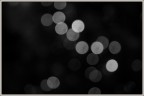 B/N Bokeh B/N Bokeh