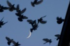 Fly me to the moon Fly me to the moon