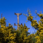 Totem Totem