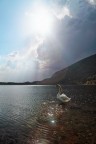 Il re del lago Il re del lago