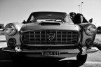Flaminia Flaminia