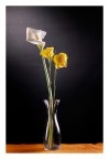 Mezzo litro con fiori