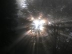Contro luce Contro luce