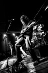 chitarrista van halen tribute chitarrista van halen tribute
