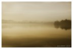 calma piatta sul lago calma piatta sul lago