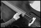 Musica nel cuore Musica nel cuore