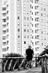 L'alveare L'alveare