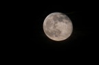 Luna Luna