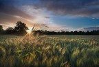 Semplicità e un filo di luce Semplicità e un filo di luce