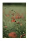 IMG_0586 IMG_0586