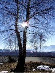 Il sole d'inverno Il sole d'inverno