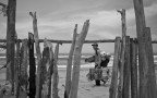 la gabbia la gabbia