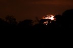 Corona solare Corona solare