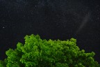 PIOGGIA DI STELLE PIOGGIA DI STELLE