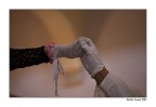 La tua mano nella mia