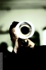 Musicanti Musicanti