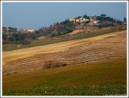Colline pisane Colline pisane