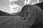 IN CAMPAGNA IN CAMPAGNA