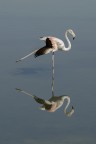 Danza classica...