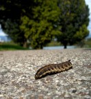 una street molto large