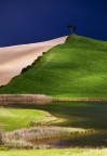 The hill, the tree and the little man The hill, the tree and the little man