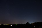 Scorpius Scorpius