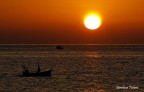 pesca... pesca...