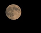 Moon Moon