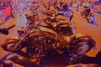 Harley Davidson Harley Davidson