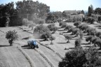 Al lavoro... Al lavoro...