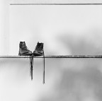 pedante ricerca tonale