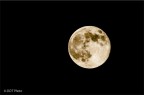 Luna Piena "rosa" Luna Piena "rosa"