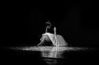 La danzatrice La danzatrice