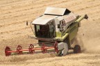 CLAAS "medium" #3 CLAAS "medium" #3