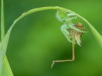 la legge della natura.... la legge della natura....