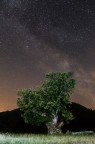 St St