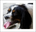 un musetto tenero un musetto tenero