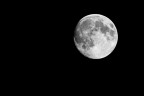 Luna Luna
