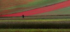 Il fotografo Il fotografo