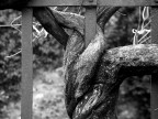 La forza della natura La forza della natura
