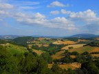 Campagna sanseverinate Campagna sanseverinate