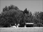 Bar Miraggio Bar Miraggio